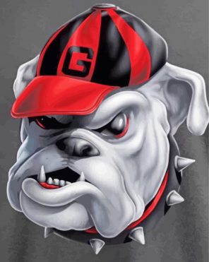 Go Dawgs Illustration Paint By Number