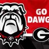 Go Dawgs Paint By Numbers
