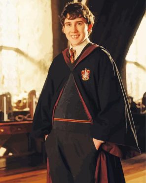 Harry Potter Neville Longbottom Paint By Numbers