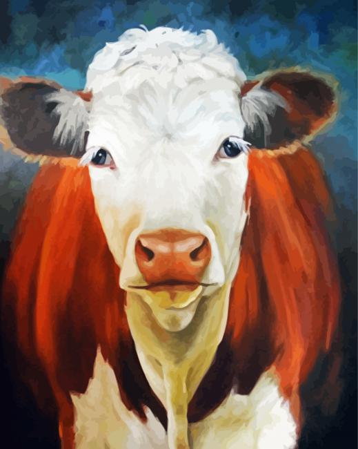 Hereford Cattle Paint By Numbers