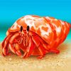 Hermit Crab Art Paint By Numbers