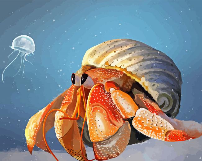 Hermit Crab Paint By Numbers
