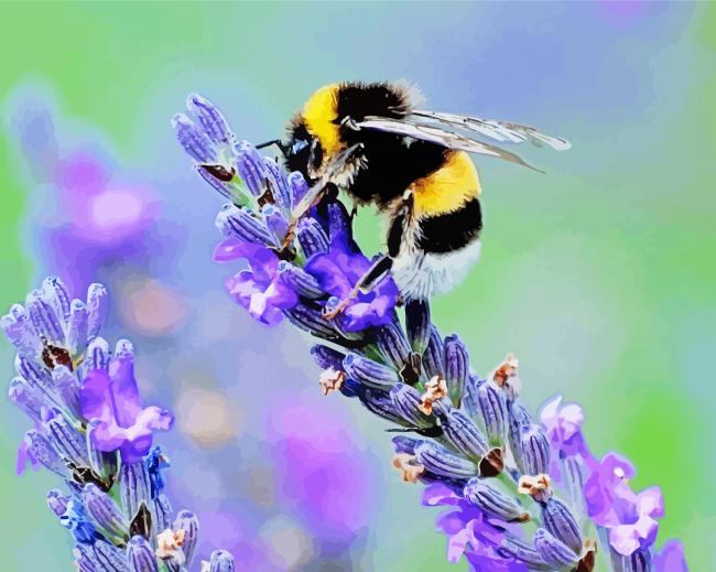 Lavender And Bee Paint By Numbers