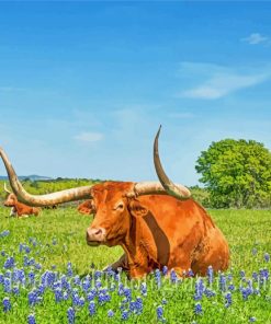 Longhorn Laying In Bluebonnets Paint By Number