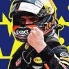 Max Verstappen Art Paint By Numbers