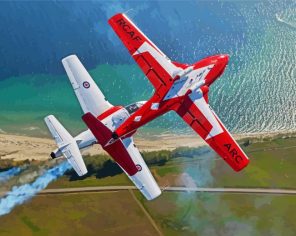 Military Snowbirds Paint By Number