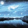 Moonlight Gloomy Sky Paint By Numbers