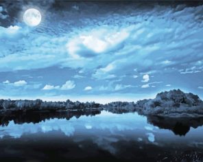 Moonlight Gloomy Sky Paint By Numbers