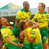 Norwich City FC Paint By Numbers