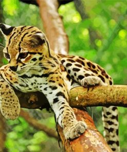 Ocelot Wild Cat Paint By Numbers