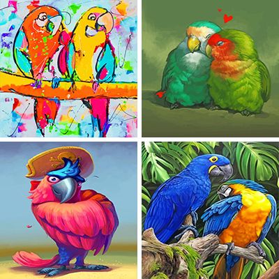 Parrots paint by numbers 