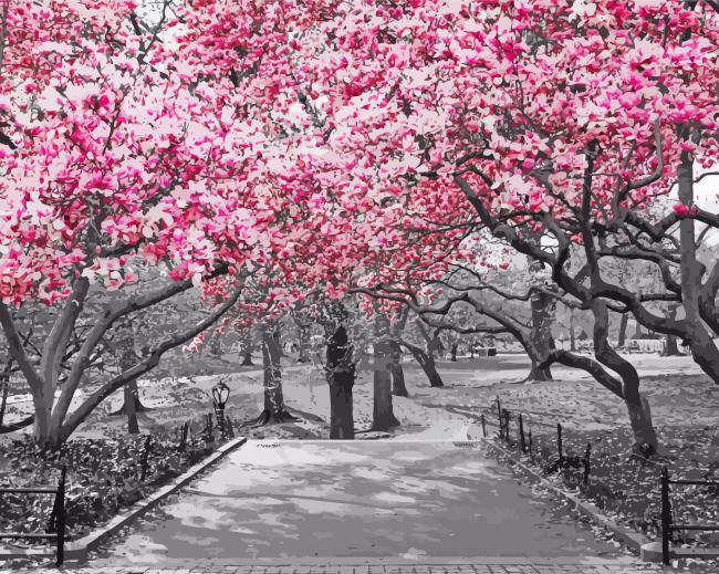 Pink Blossom In Black And White Paint By Numbers