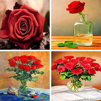 red roses paint by numbers