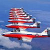 Snowbirds Planes Paint By Numbers