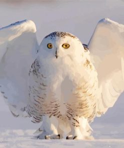 Snowy White Owl Paint By Numbers