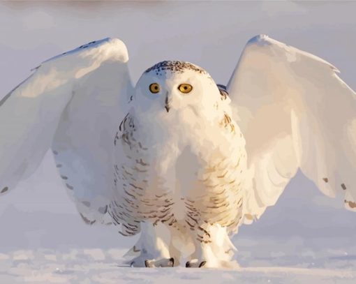 Snowy White Owl Paint By Numbers