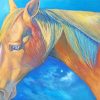 Tan Horse Art Paint By Numbers