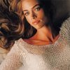 The Beautiful Denise Richards Paint By Numbers