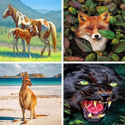 wild Animals Paint By numbers 