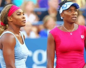 Williams Sisters Players Paint By Numbers