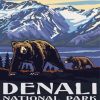 Aesthetic Alaska National Park Paint By Number