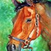 Aesthetic Bay Horse Paint By Numbers