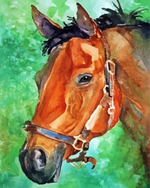 Aesthetic Bay Horse Paint By Numbers