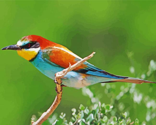 Aesthetic Bee Eater Paint By Numbers