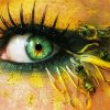 Aesthetic Bee Eye Paint By Numbers
