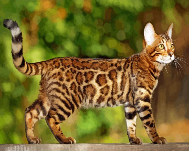 Aesthetic Cat Bengal Paint By Number