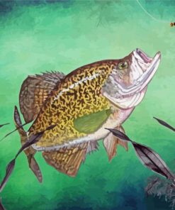 Aesthetic Crappie Fish Paint By Numbers