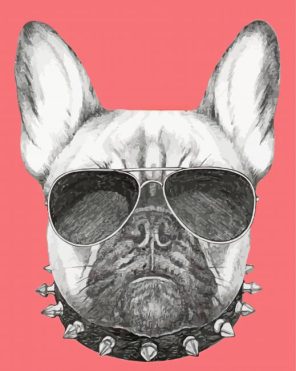 Aesthetic Dog With Glasses Illustration Paint By Number