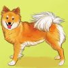 Aesthetic Icelandic Sheepdog Art Paint By Number