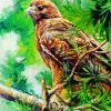Aesthetic Red Tail Hawk Art Paint By Numbers