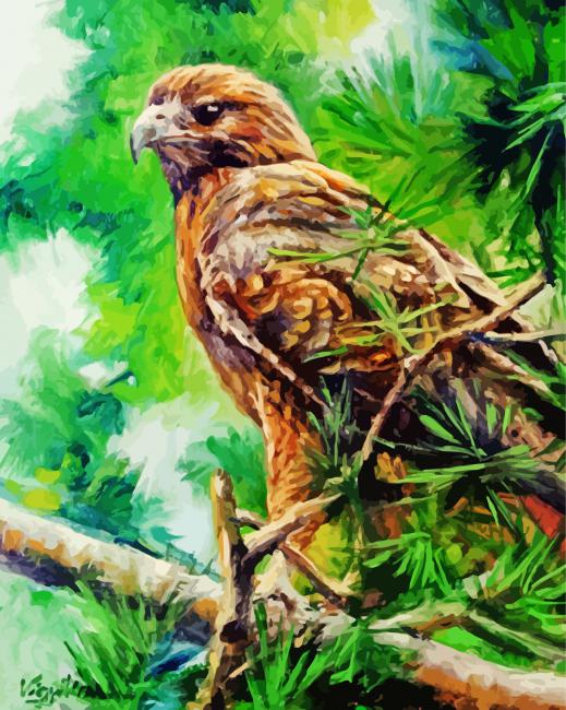 Aesthetic Red Tail Hawk Art Paint By Numbers