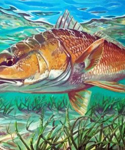 Aesthetic Redfish Drum Paint By Numbers