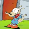 Aesthetic Rocko Art Paint By Number