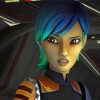 Aesthetic Sabine Wren Paint By Number