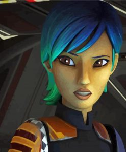 Aesthetic Sabine Wren Paint By Number