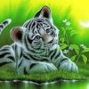 Aesthetic Tiger Cub Paint By Numbers