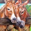 Aesthetic Trio Donkeys Paint By Numbers