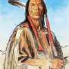 Aesthetic Wes Studi Paint By Number