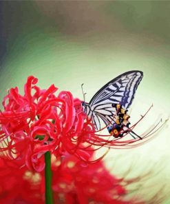 Aesthetic Butterfly On Red Spider Lily Paint By Numbers