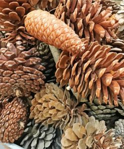 Aesthetic Pine Cones Paint By Number