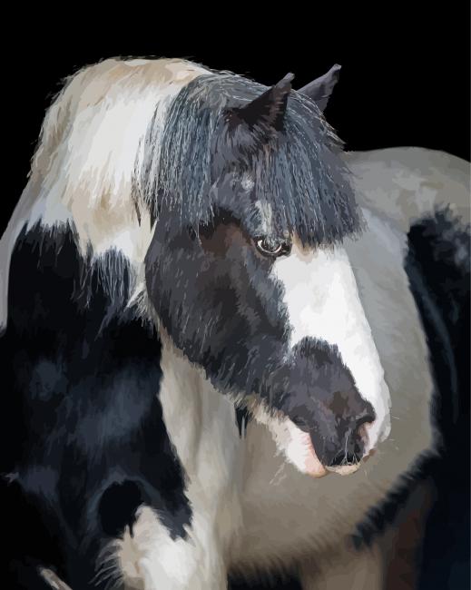 Beautiful Cob Horse Paint By Numbers