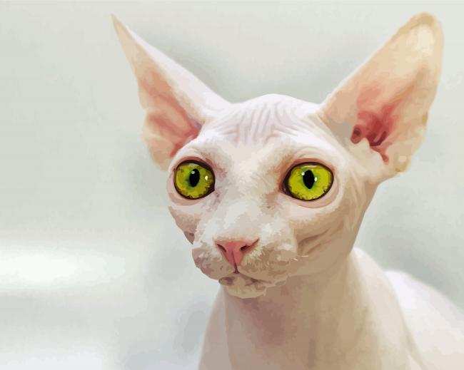 Beautiful Eyes Hairless Cat Paint By Number