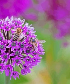 Bee With Purple Allium Flower Paint By Numbers