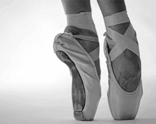 Black And White Ballerina Shoes Paint By Numbers