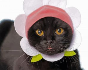 Black Cat With Hat Paint By Number