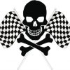 Black Skull And Checkered Flag Paint By Numbers